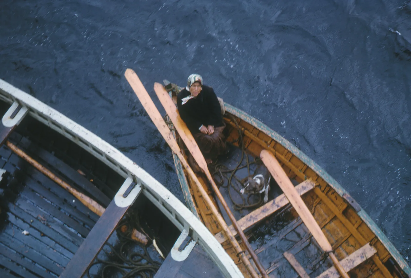 Mujer kawésqar y perro en bote, 1965