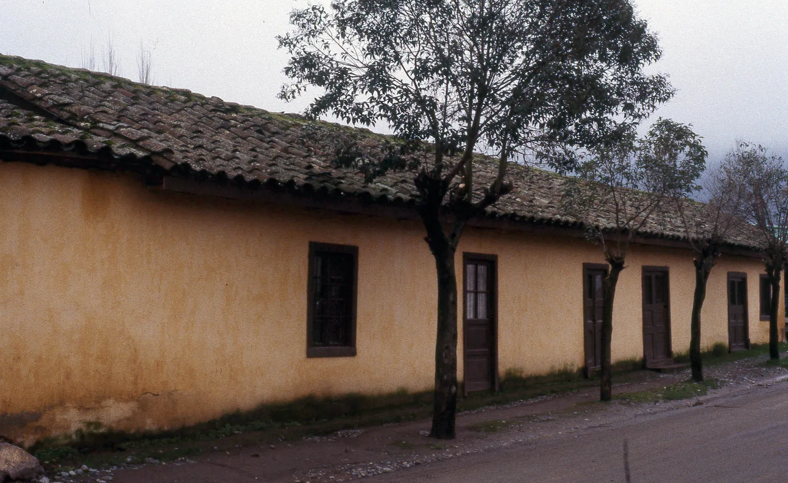 Lo Miranda, localidad camino a Doñihue, 1983