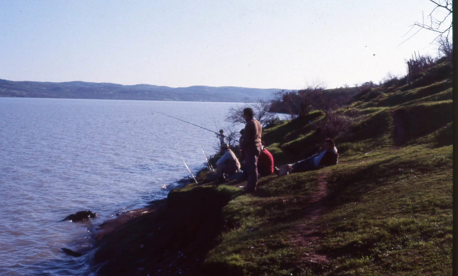 Rapel, zona Llallauquén, 1983