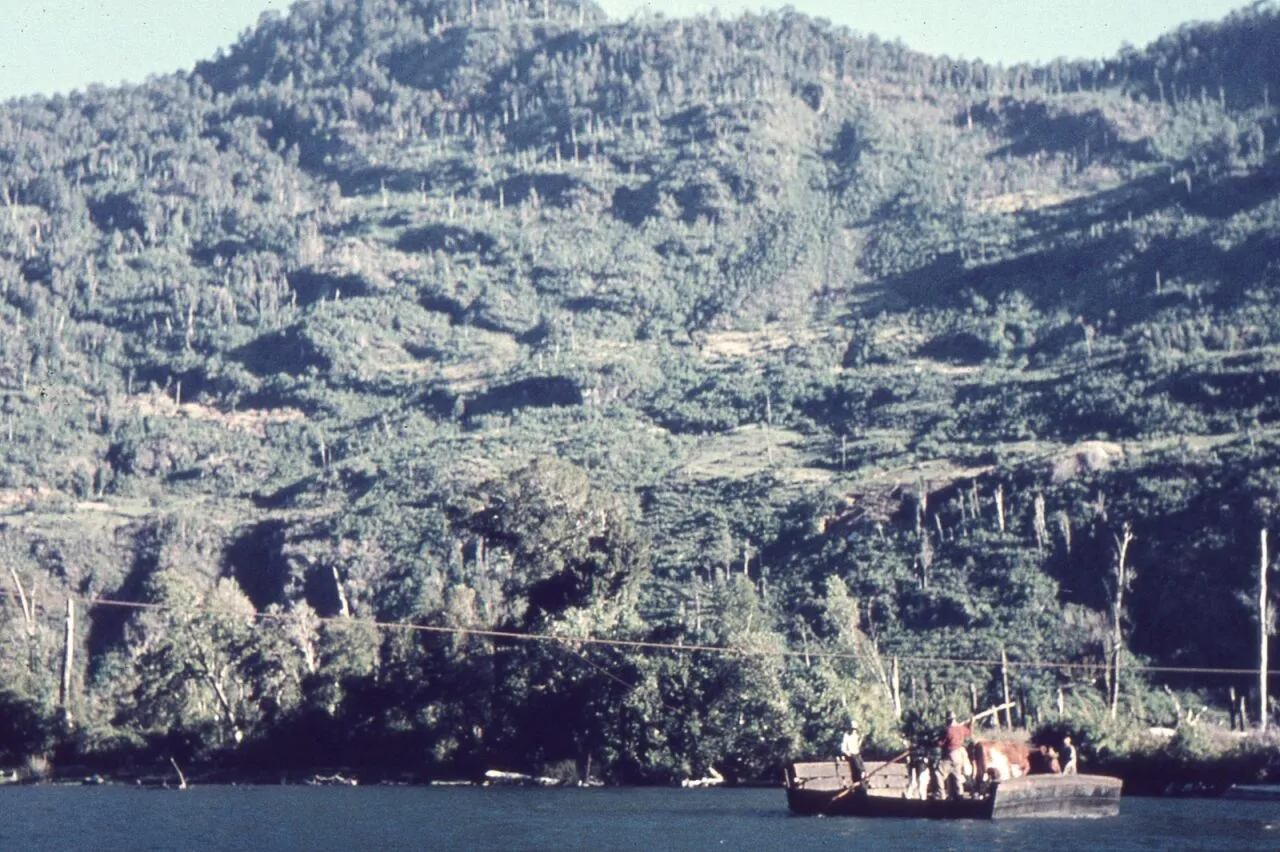 Vida campestre en Llifén, 1975
