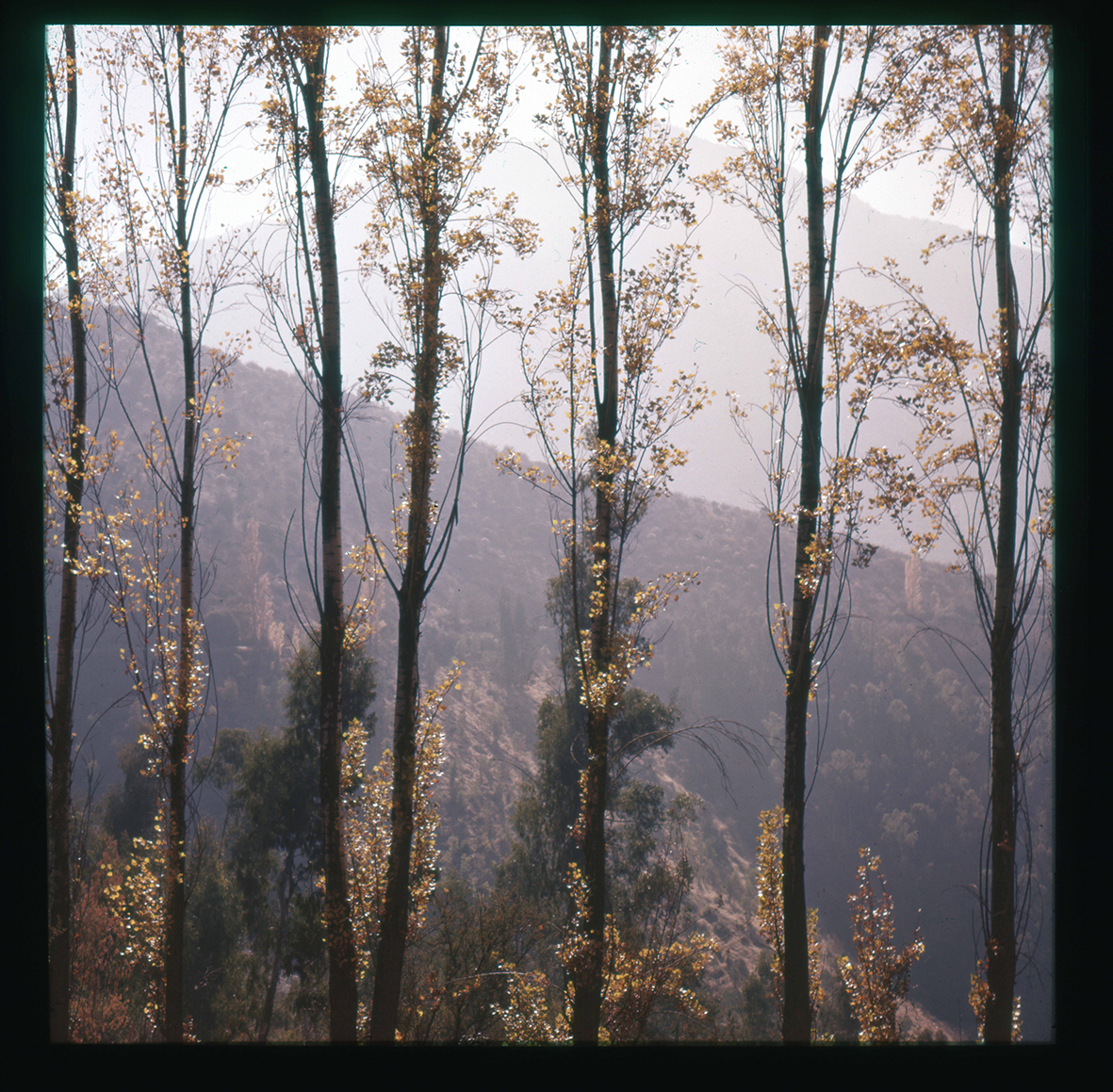 Alameda y cerros, Cerro San Cristóbal, Región Metropolitana, Chile, 1950 -1965