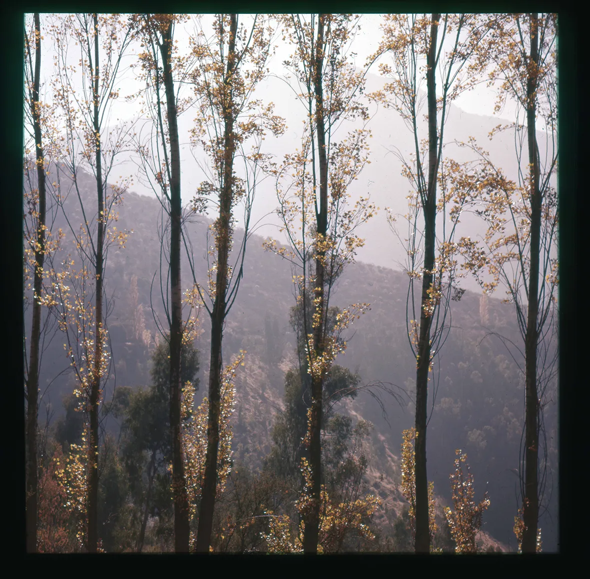 Alameda y cerros, Cerro San Cristóbal, Región Metropolitana, Chile, 1950 -1965
