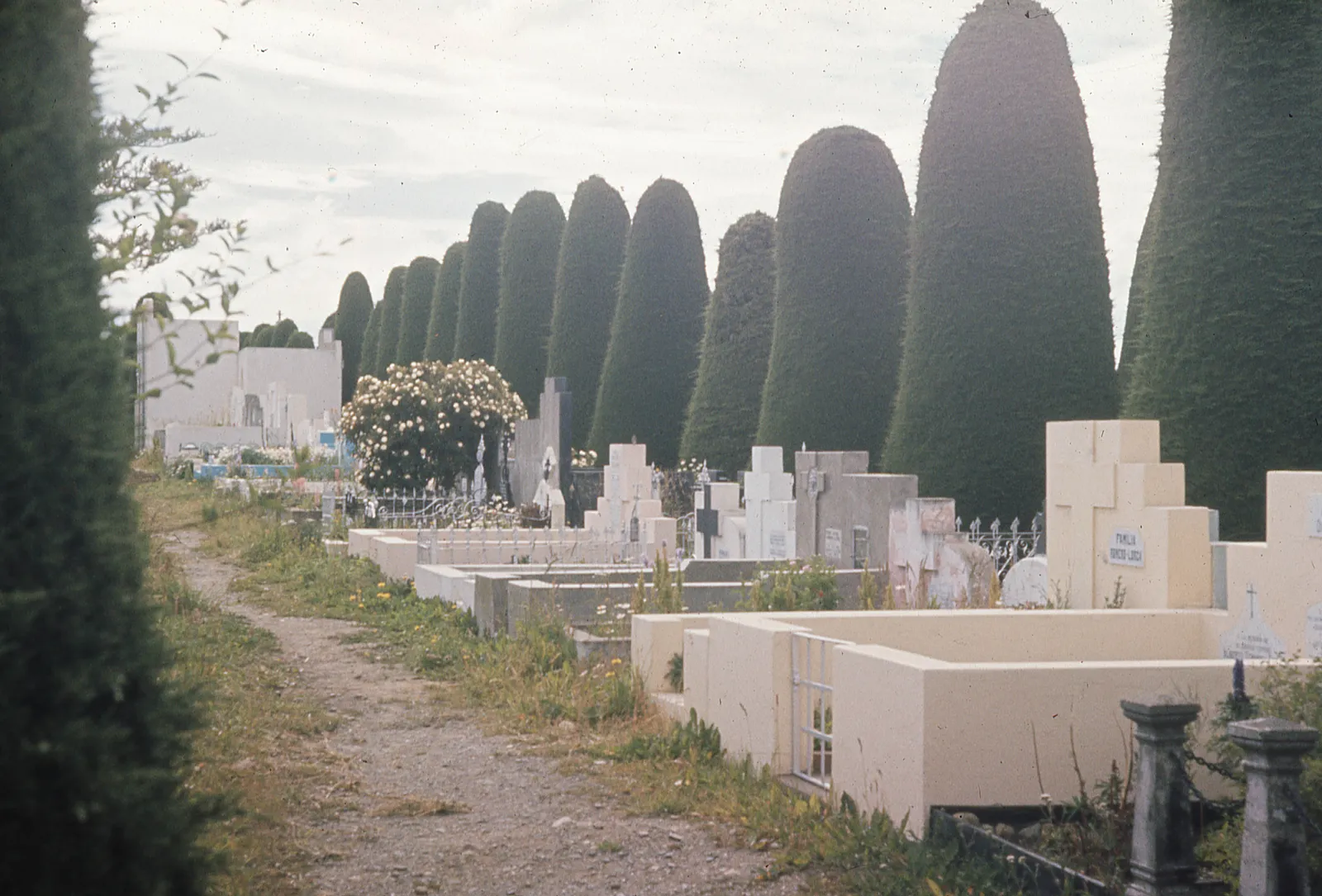 Cementerio de Punta Arenas en 1962