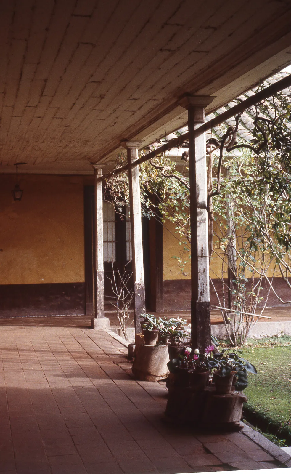 Hacienda San Ignacio, Calera de Tango, 1983