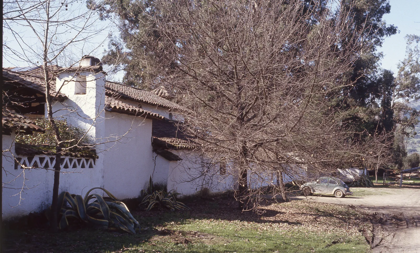 Casona en Marchigue, 1983