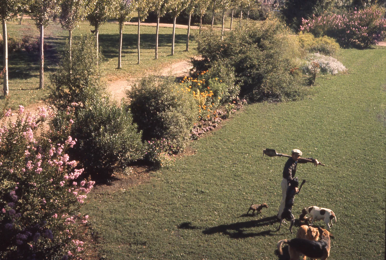 Jardin en 1965