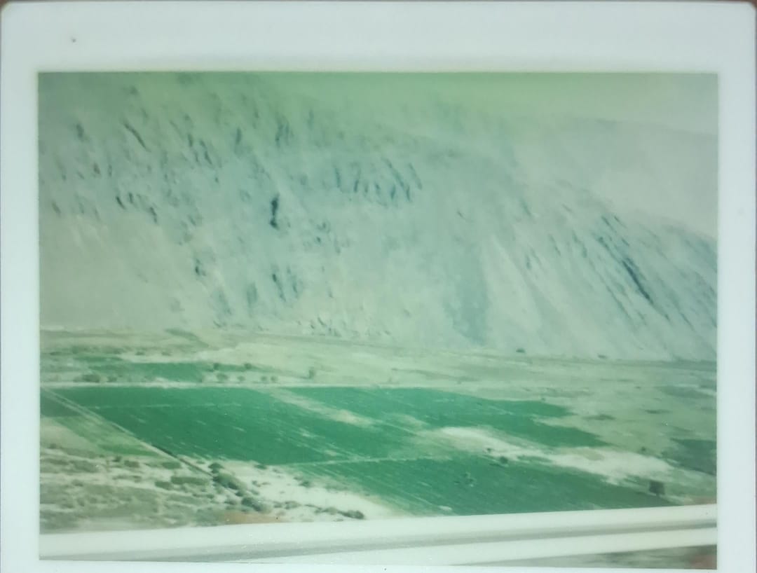 Valle de Azapa, 1978
