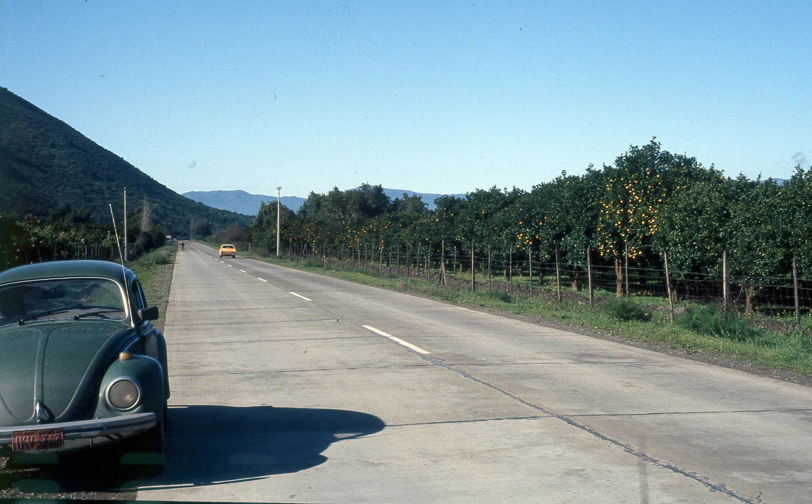 Camino a Peumo, 1983