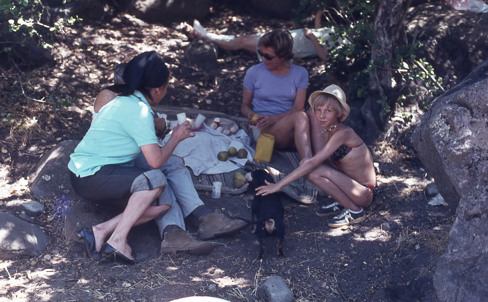 Día de picnic en 1978