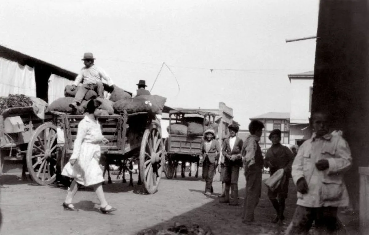 Mercado en Santiago, 1930