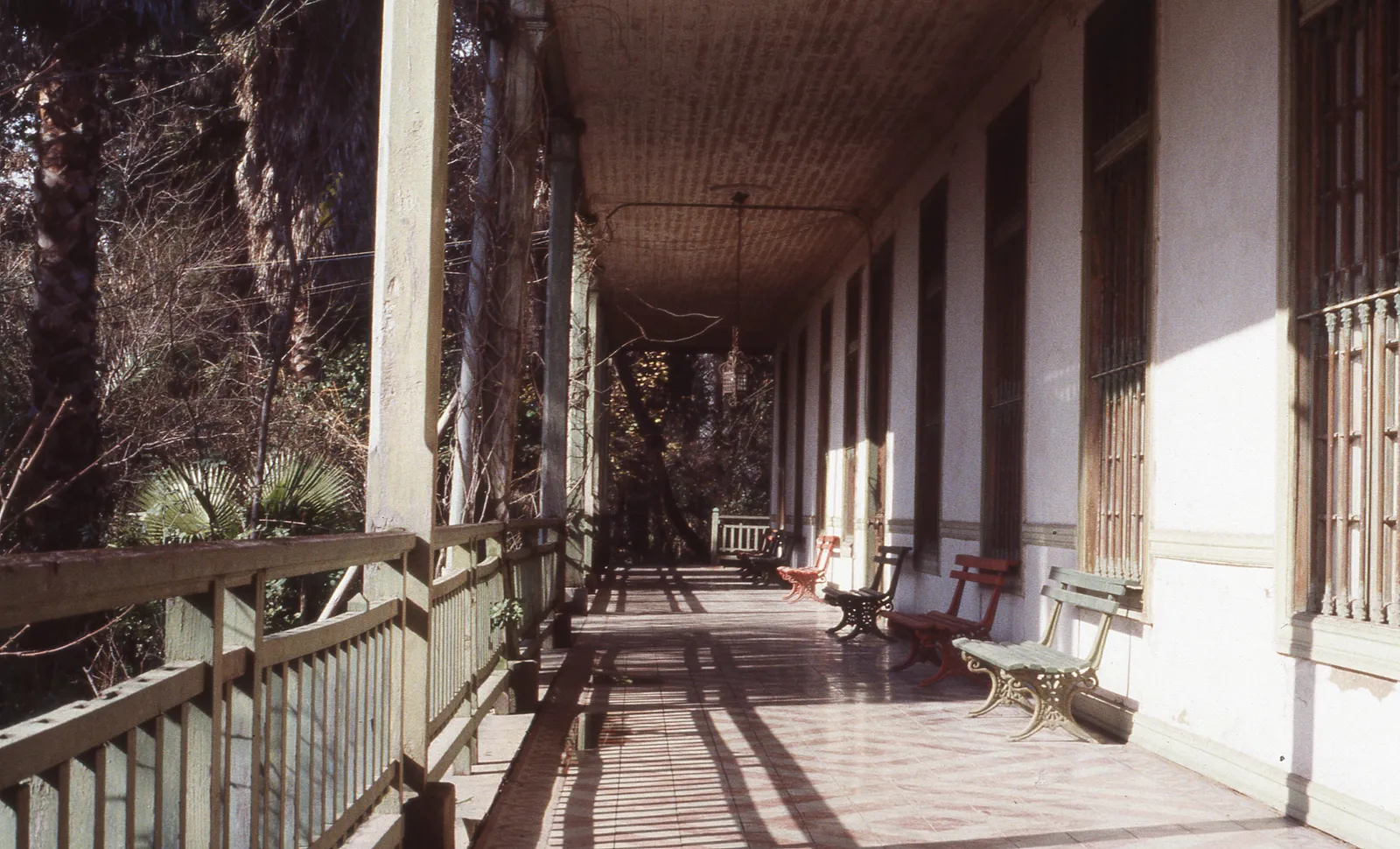 Fundo Los Álamos, Calera de Tango, 1983