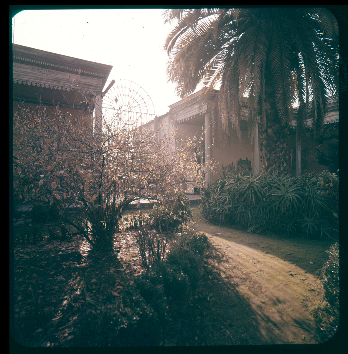 Jardín en un atardecer, Chile, 1950 - 1965