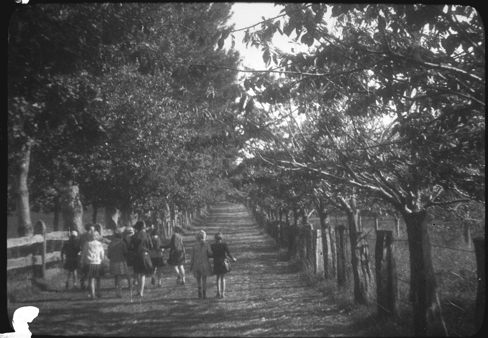 Grupo de chicas en una avenida, 1928