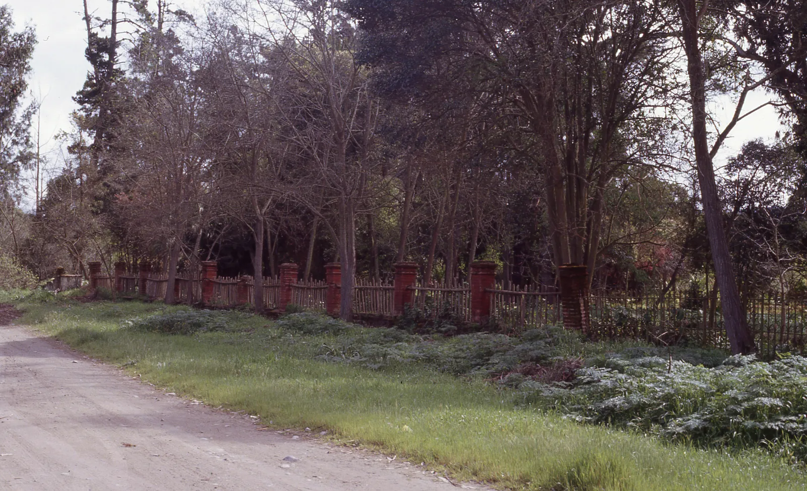 Fundo San Diego de Puangue, Melipilla, 1983