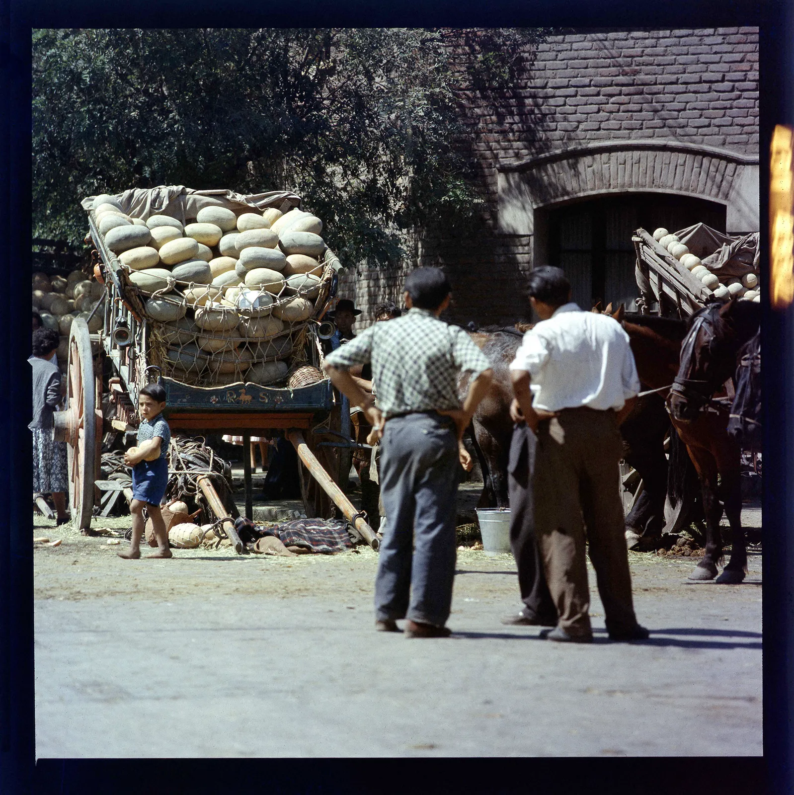 Carretas cargadas con sandías y melones, Paine, Región Metropolitana, Chile, 1950 - 1965