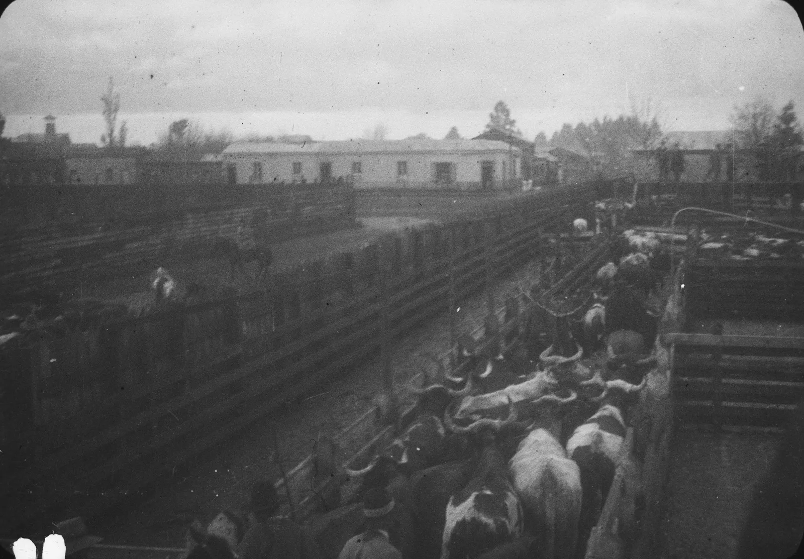 Mercado de Temuco, 1928