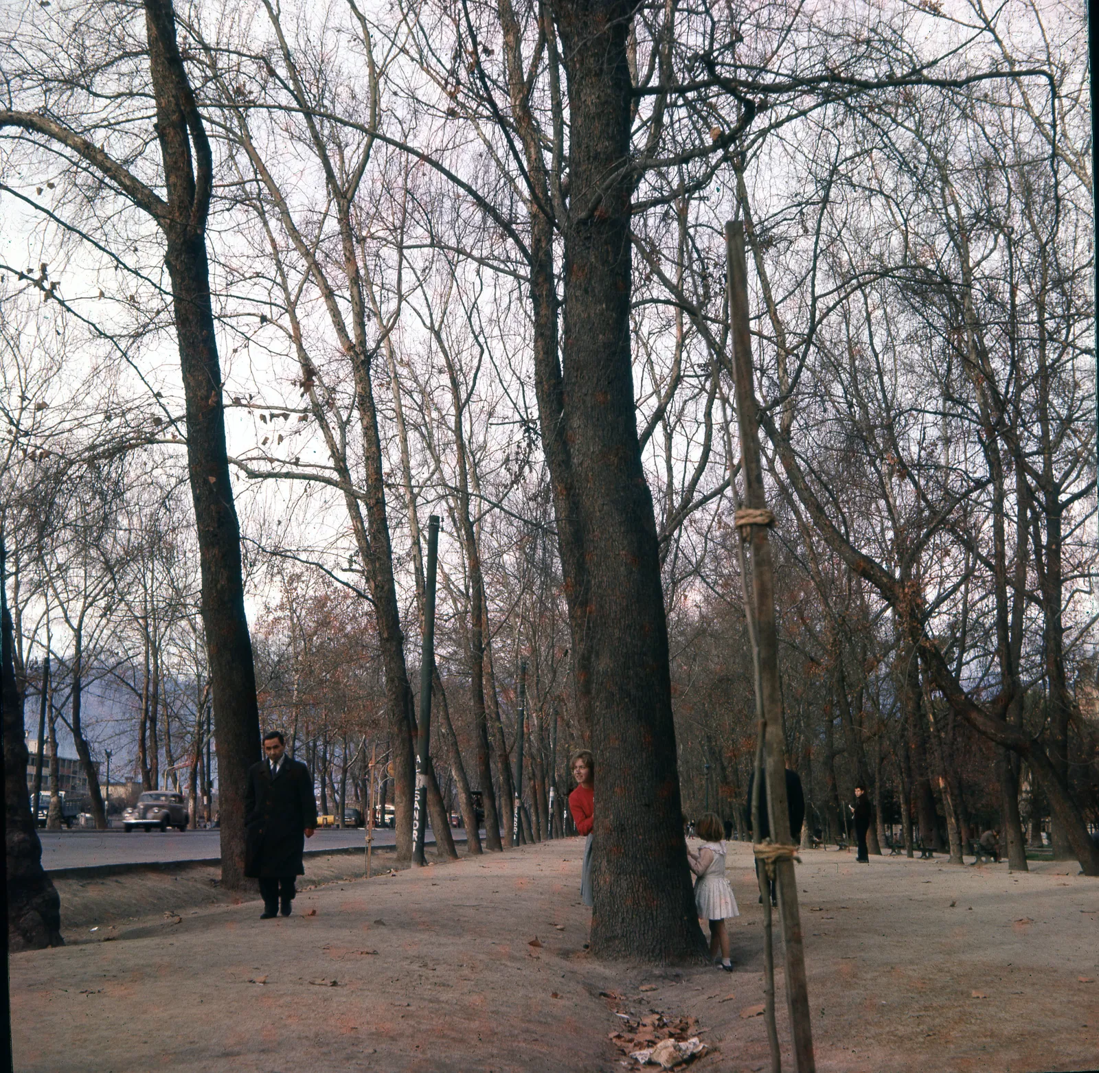 Parque Forestal de Santiago, 1960
