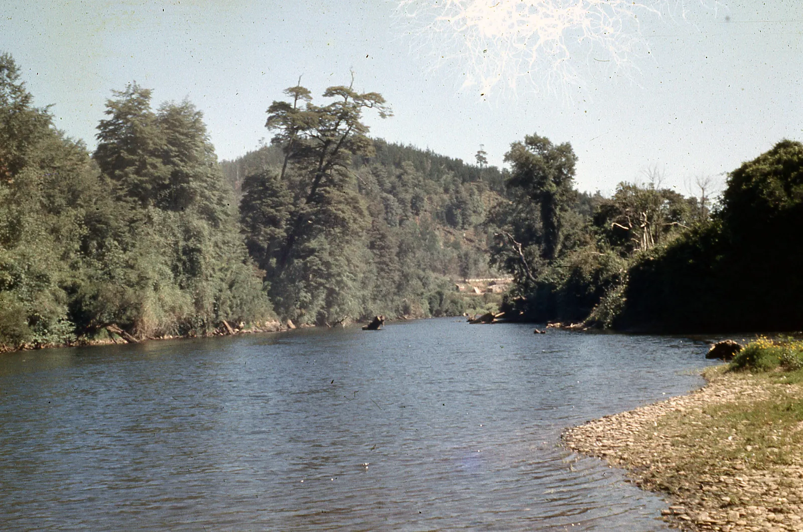 Cercanías de Valdivia, 1960