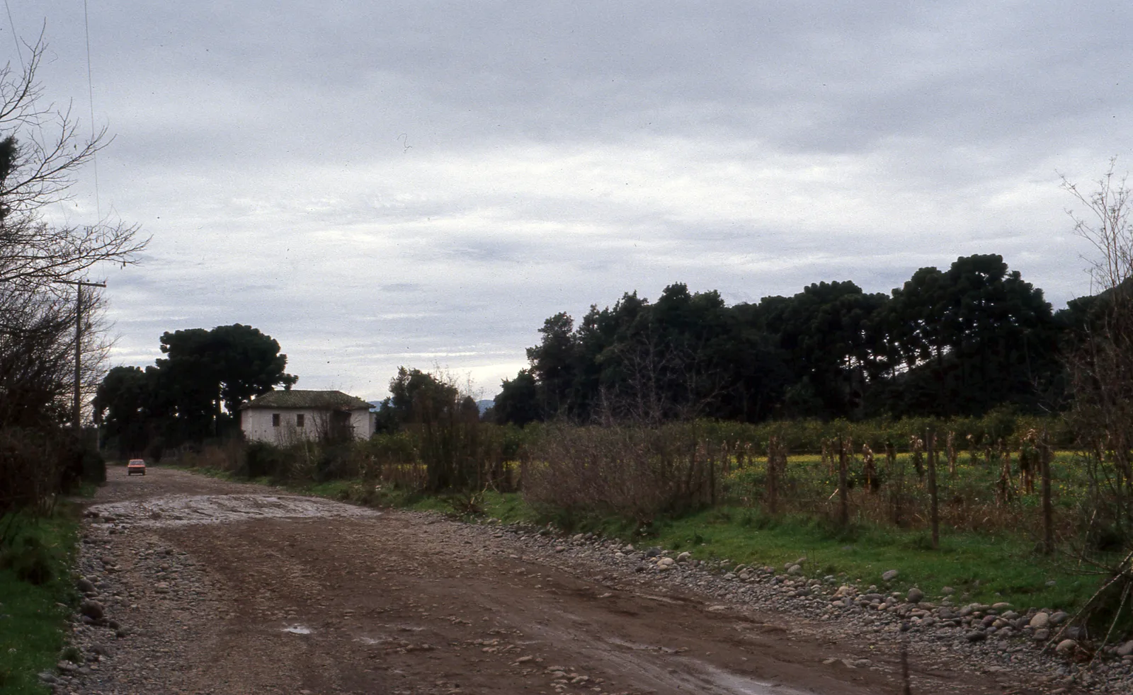 San Vicente de Naltagua, 1983