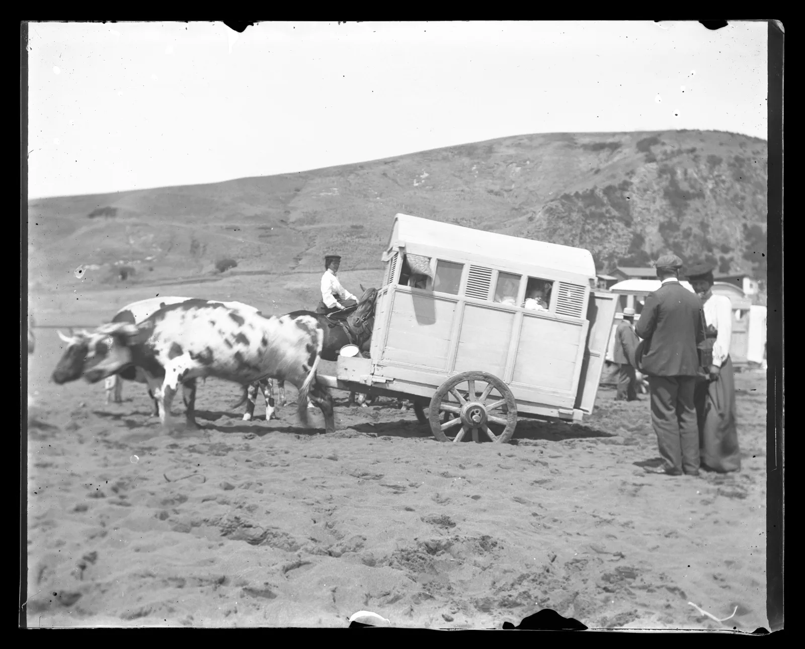 Bueyes tirando carruaje en la playa, Constitución, ca. 1903