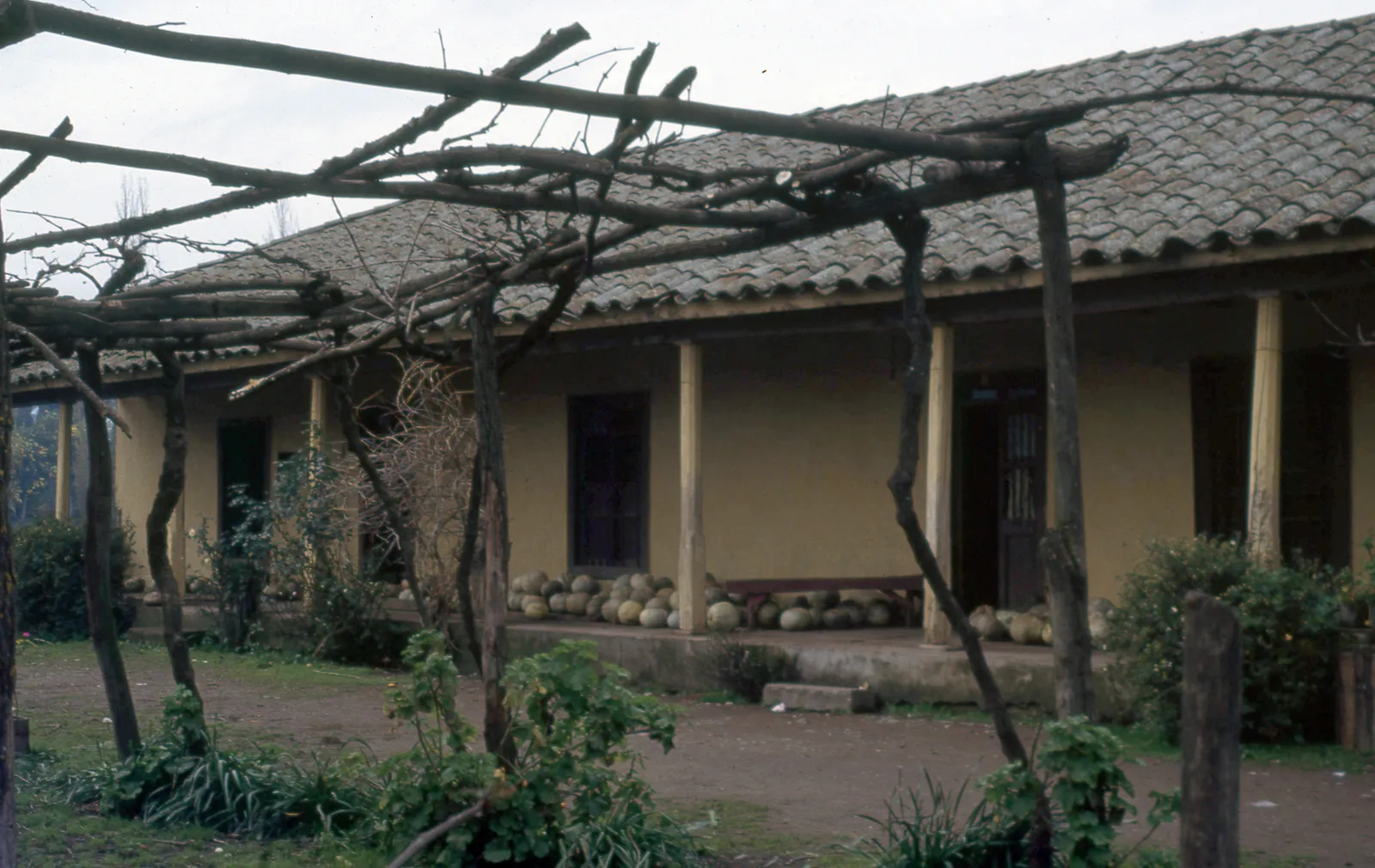 Casa y zapallos camino a Pencahue, San Vicente de Tagua Tagua, 1983