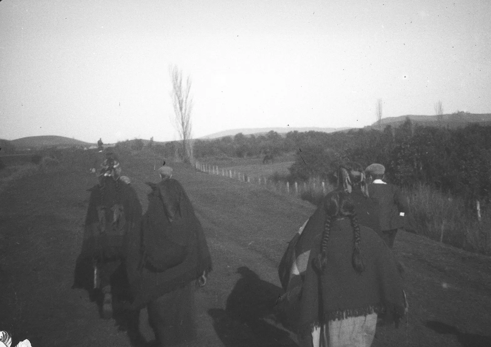 Grupo de personas en un sendero, Araucanía, 1928