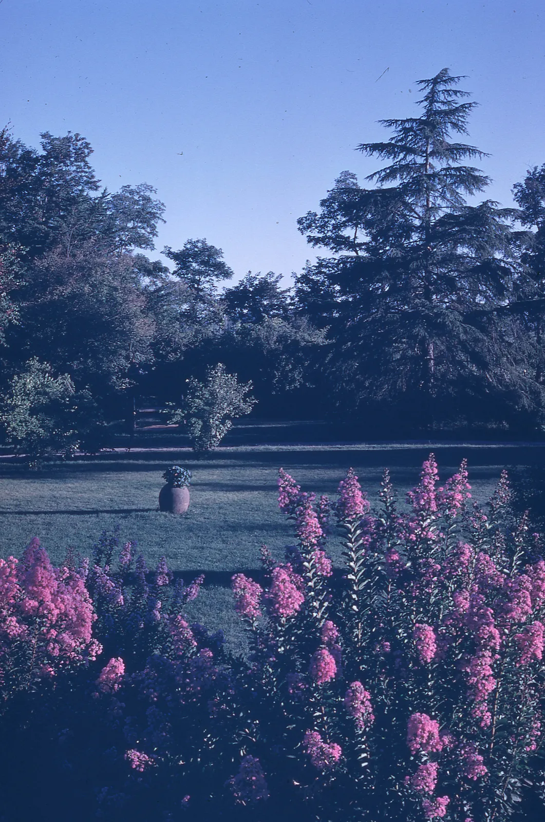 Jardín de San Marcos, 1976