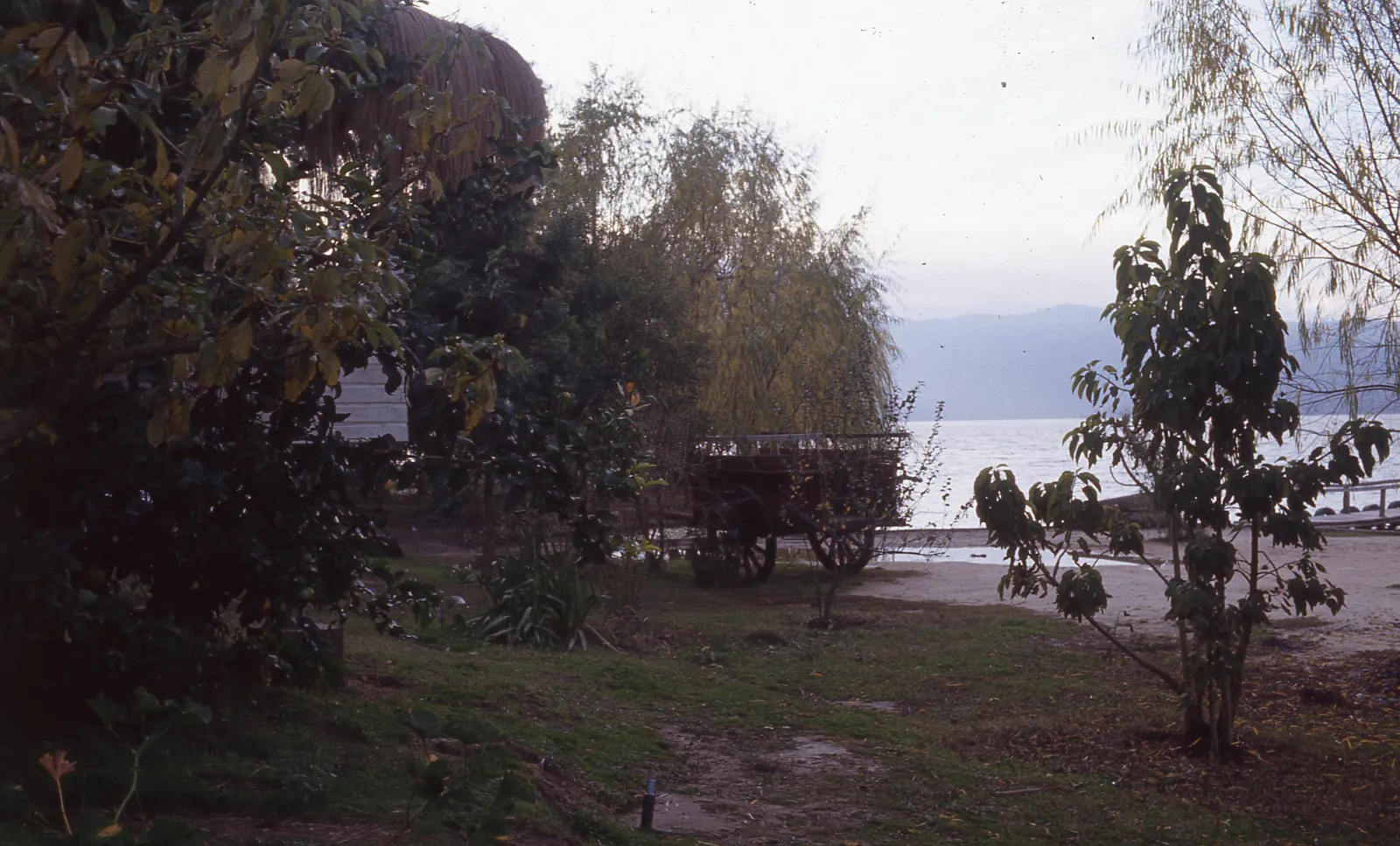 Camping Los Sauces en Rapel, 1983