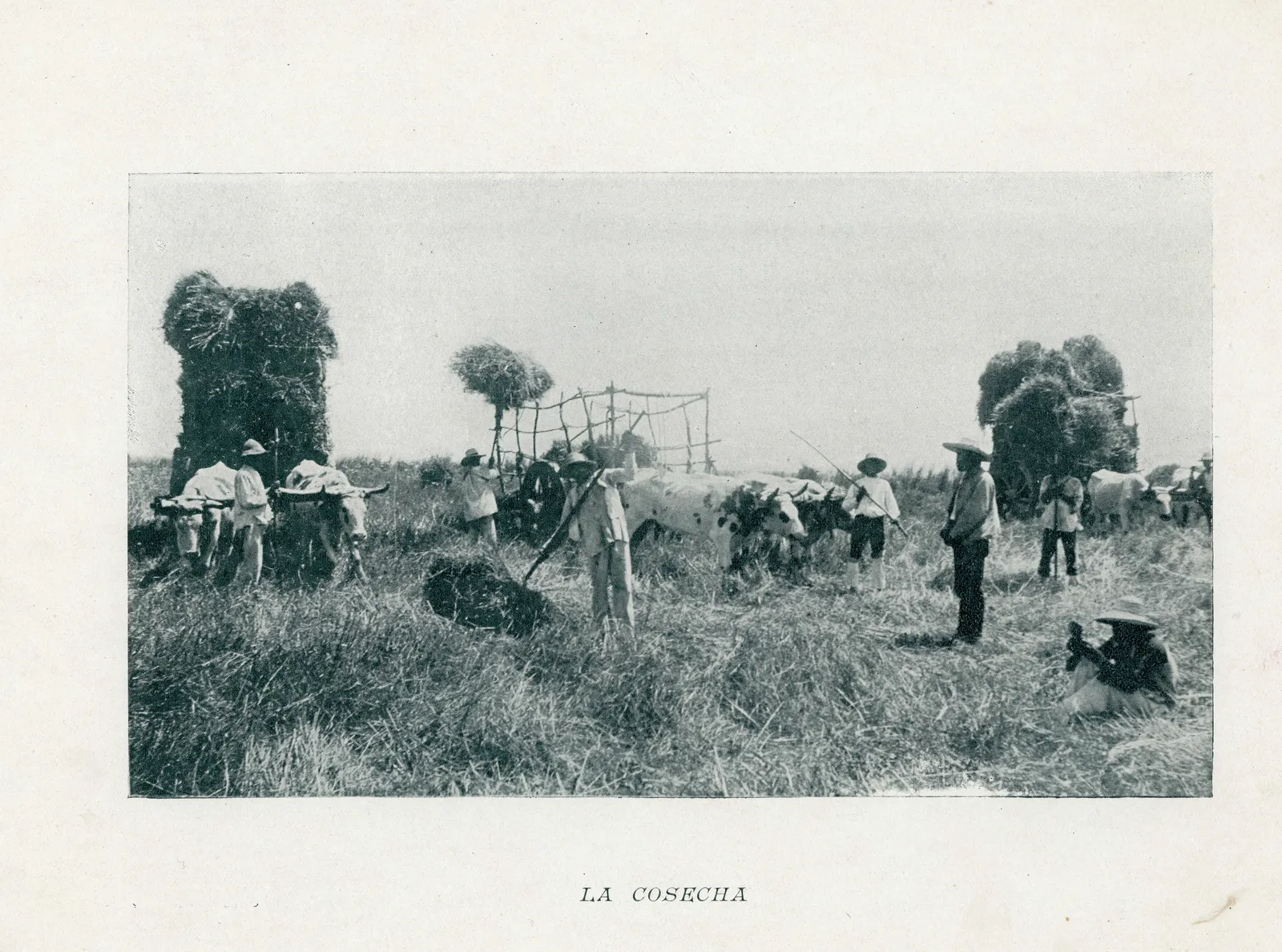 Cosecha en el campo, 1890