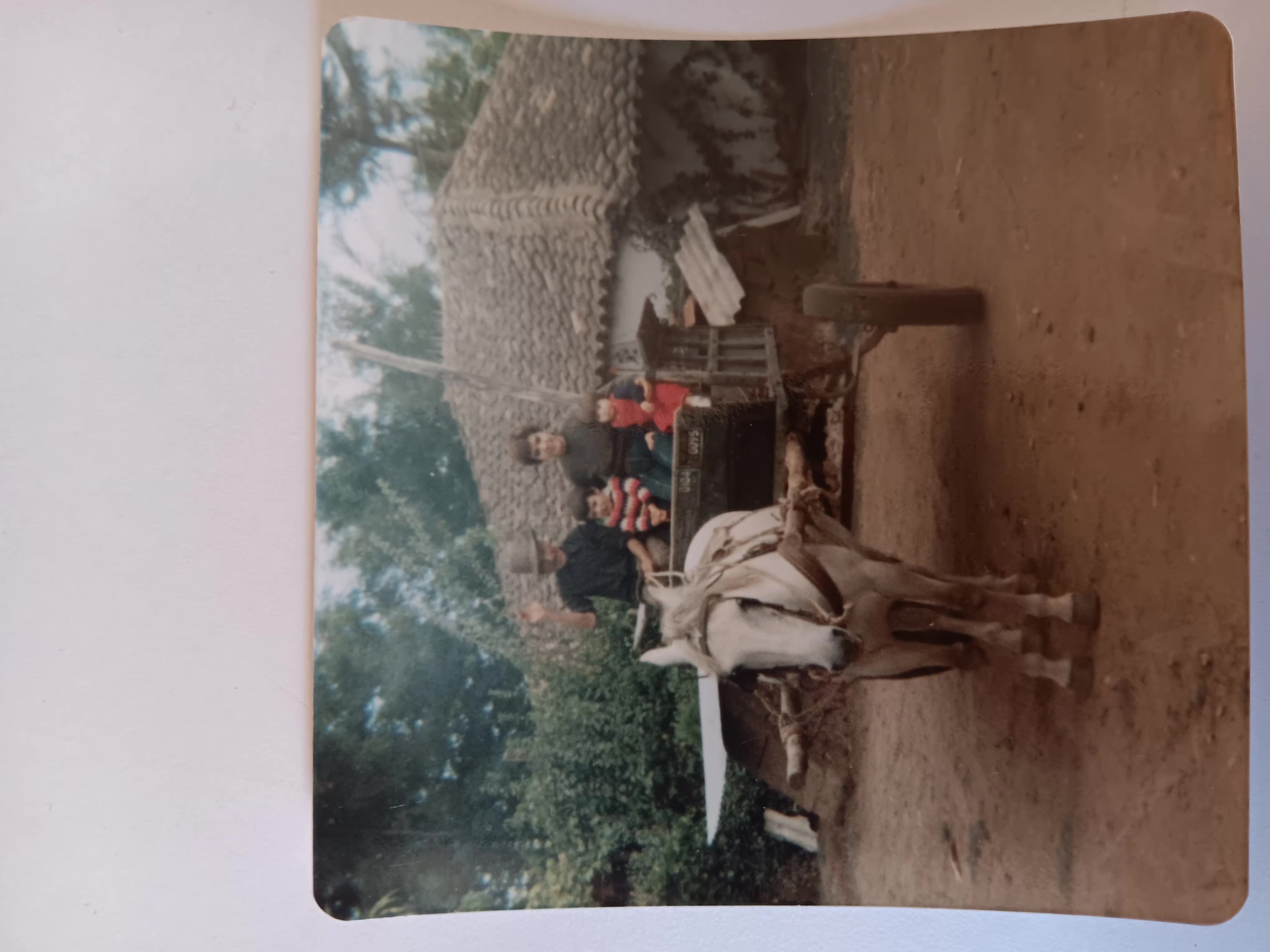 Familia en Molina, Maule en 1987