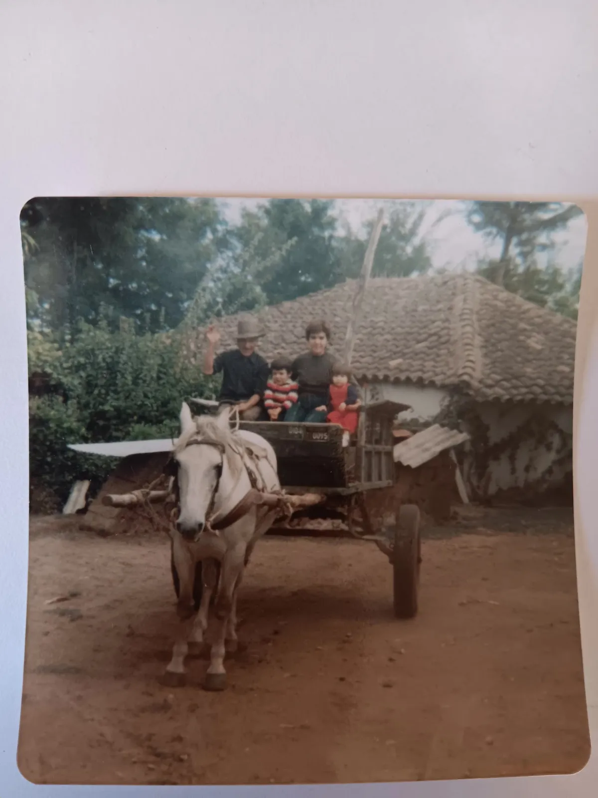Familia en Molina, Maule en 1987