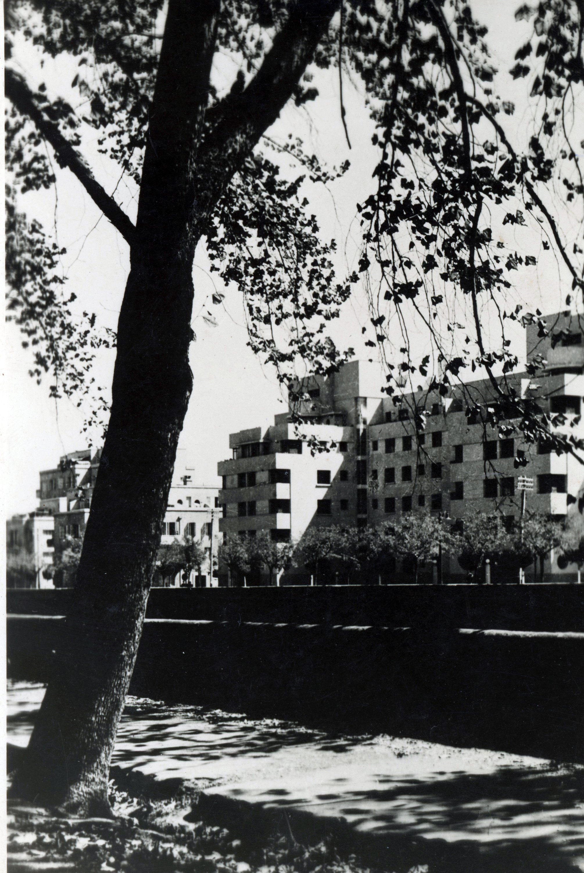 Parque Forestal de Santiago, ca. 1945