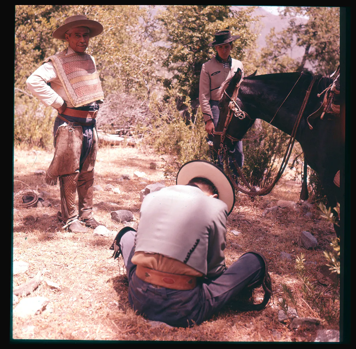 Huasos bajo la sombra de los árboles, Chile, 1950 - 1965