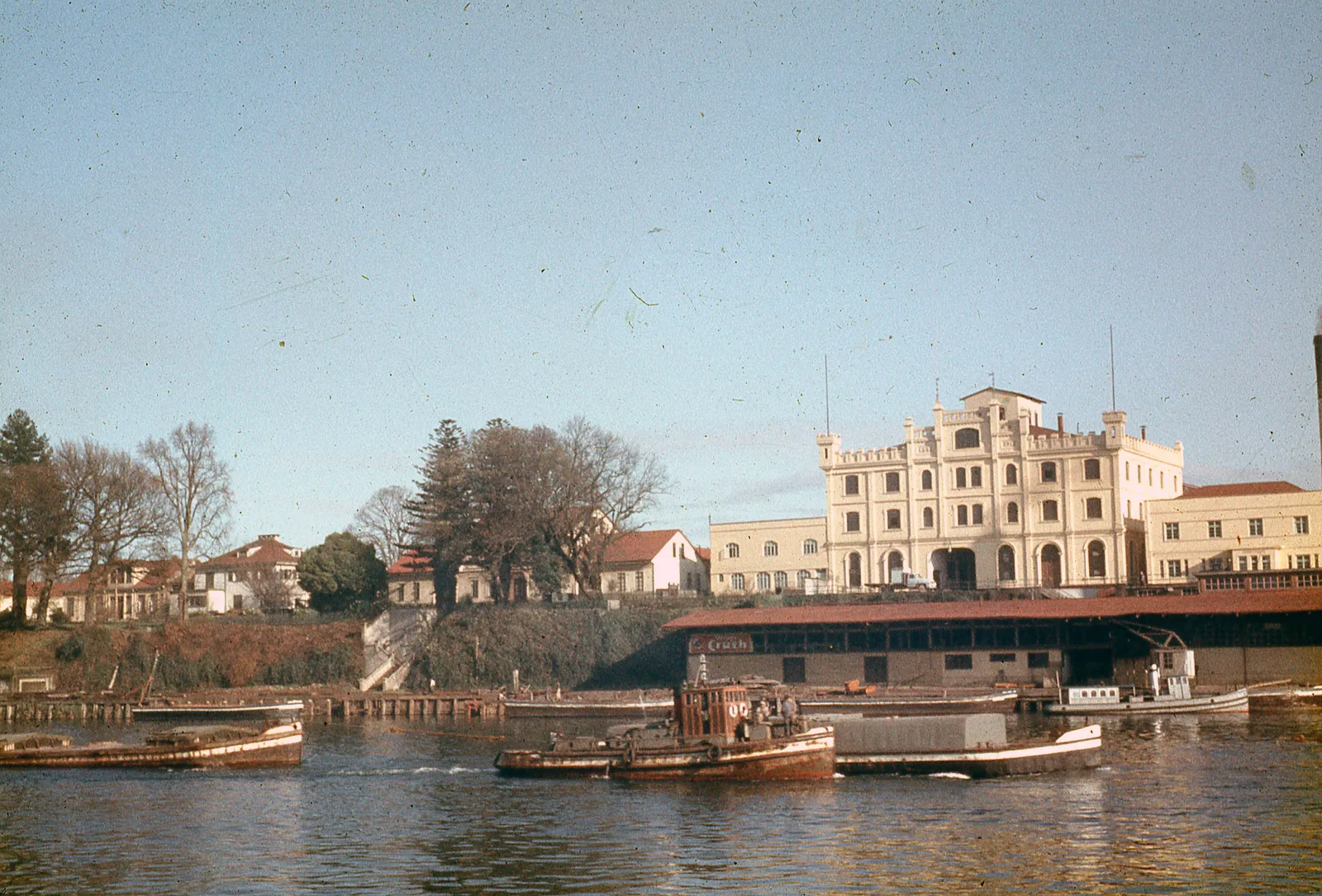 Valdivia y Río Calle Calle, 1960