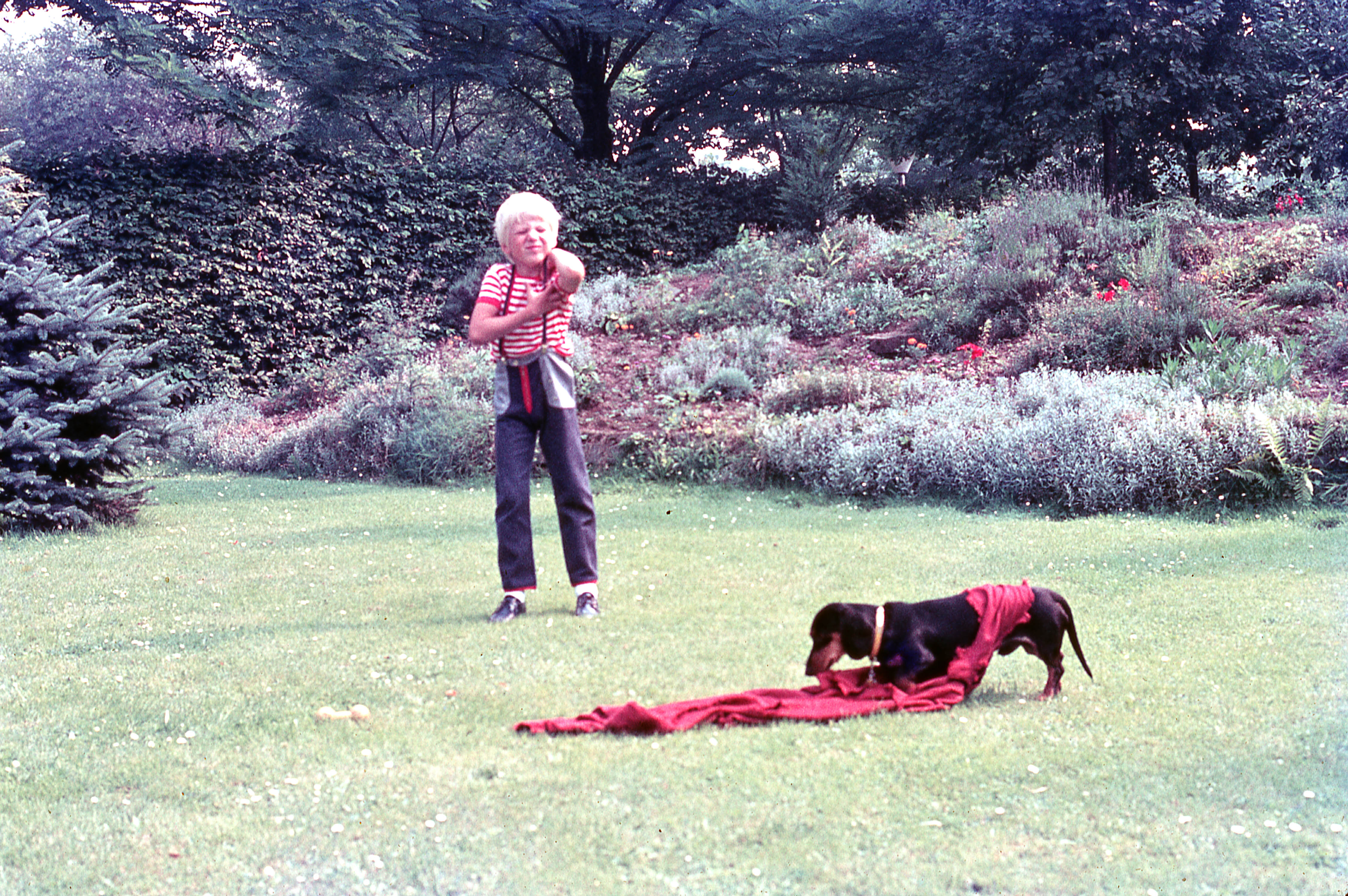Niño jugando al torero con su perro, 1975