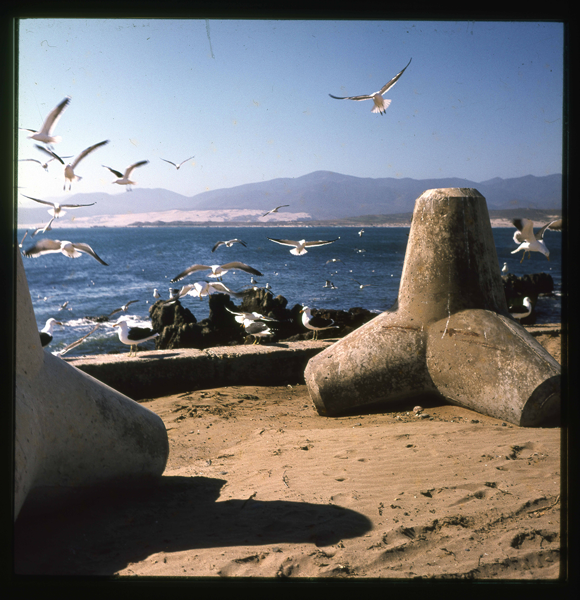 Playa y rompeolas, Región de Coquimbo, Chile, 1950 - 1965
