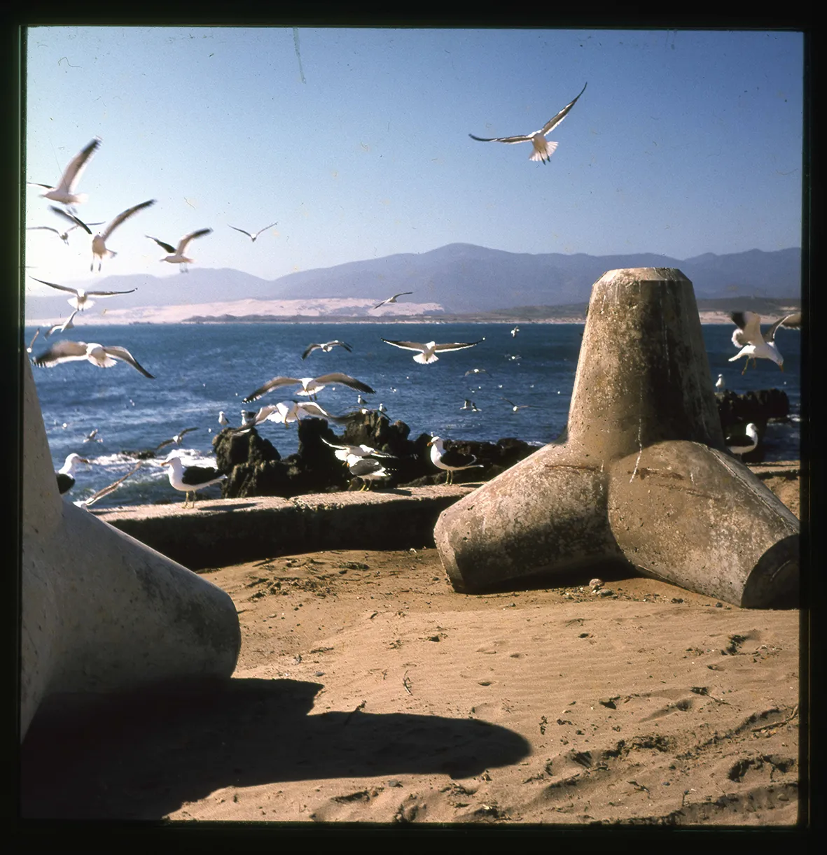 Playa y rompeolas, Región de Coquimbo, Chile, 1950 - 1965