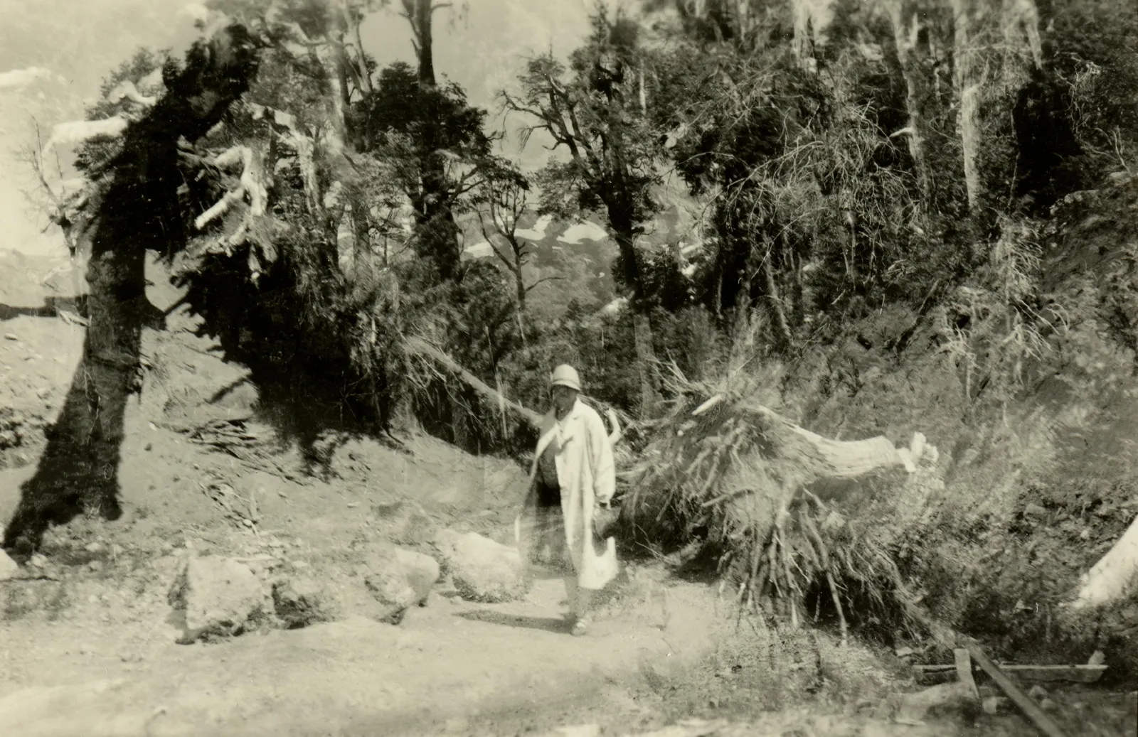 Mujer en sendero al Volcán Chillán, 1929
