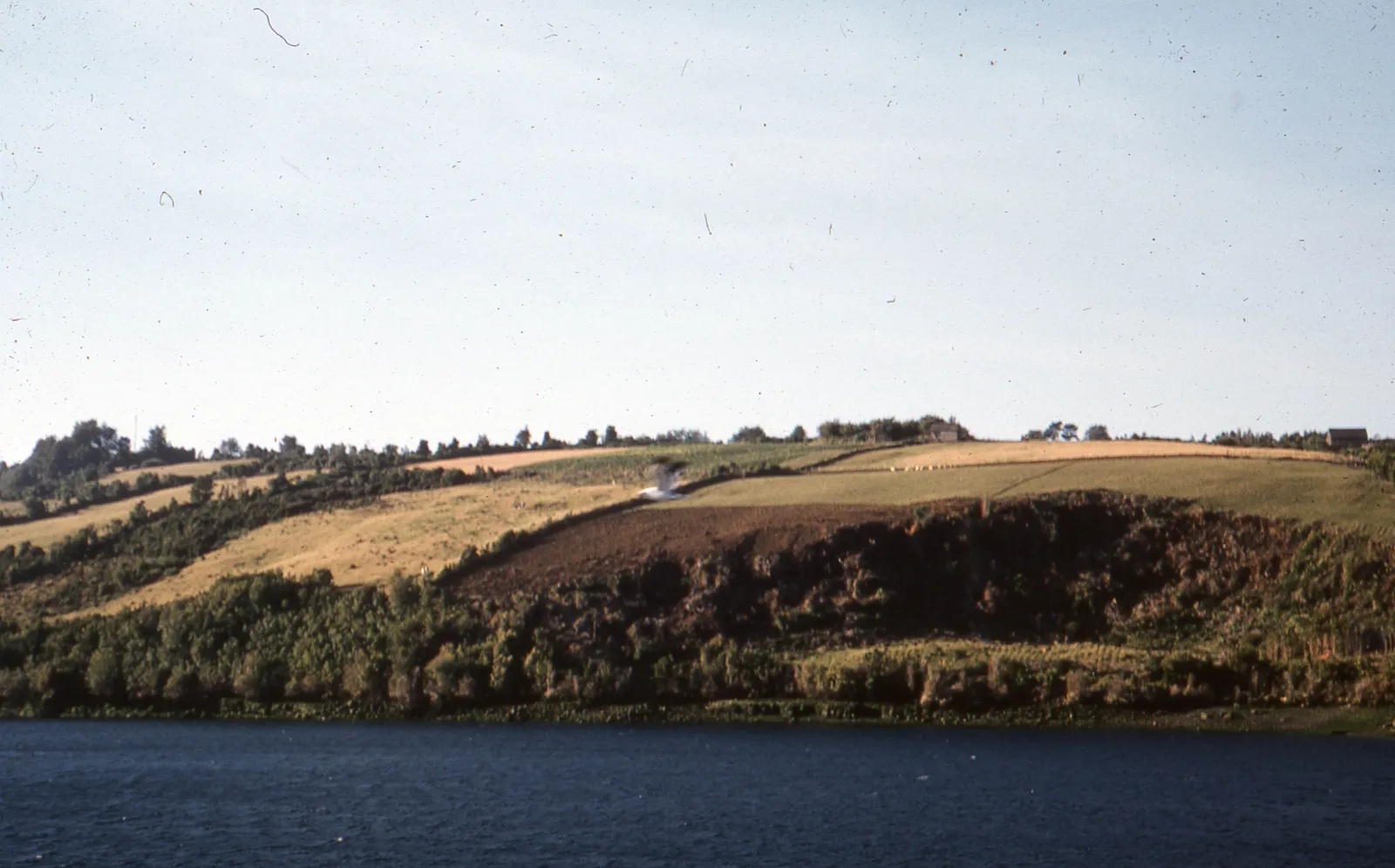 Chiloé en 1962