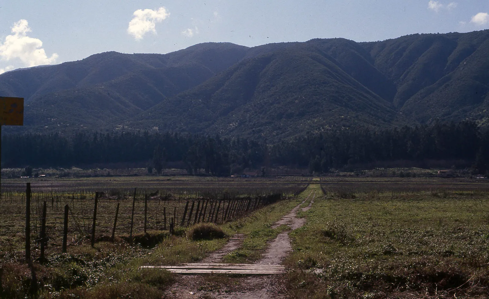 Caminos en Viña Concha y Toro, Peumo, 1983