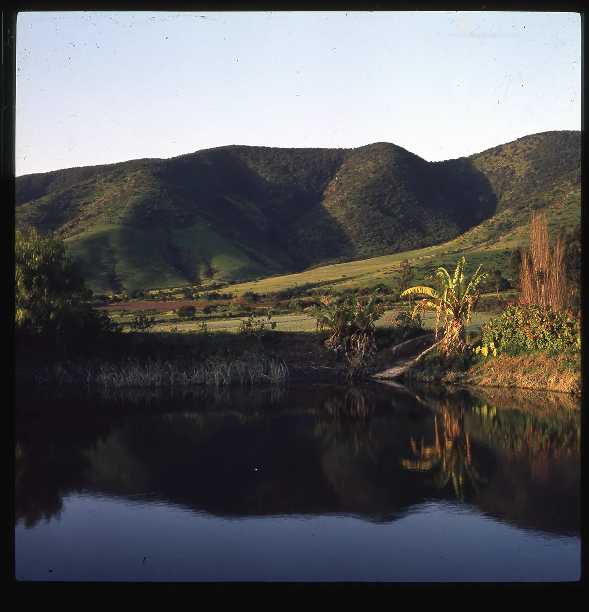 Tranque y faldas de un cerro, Pocochay, Región de Valparaíso, Chile, 1950 - 1965