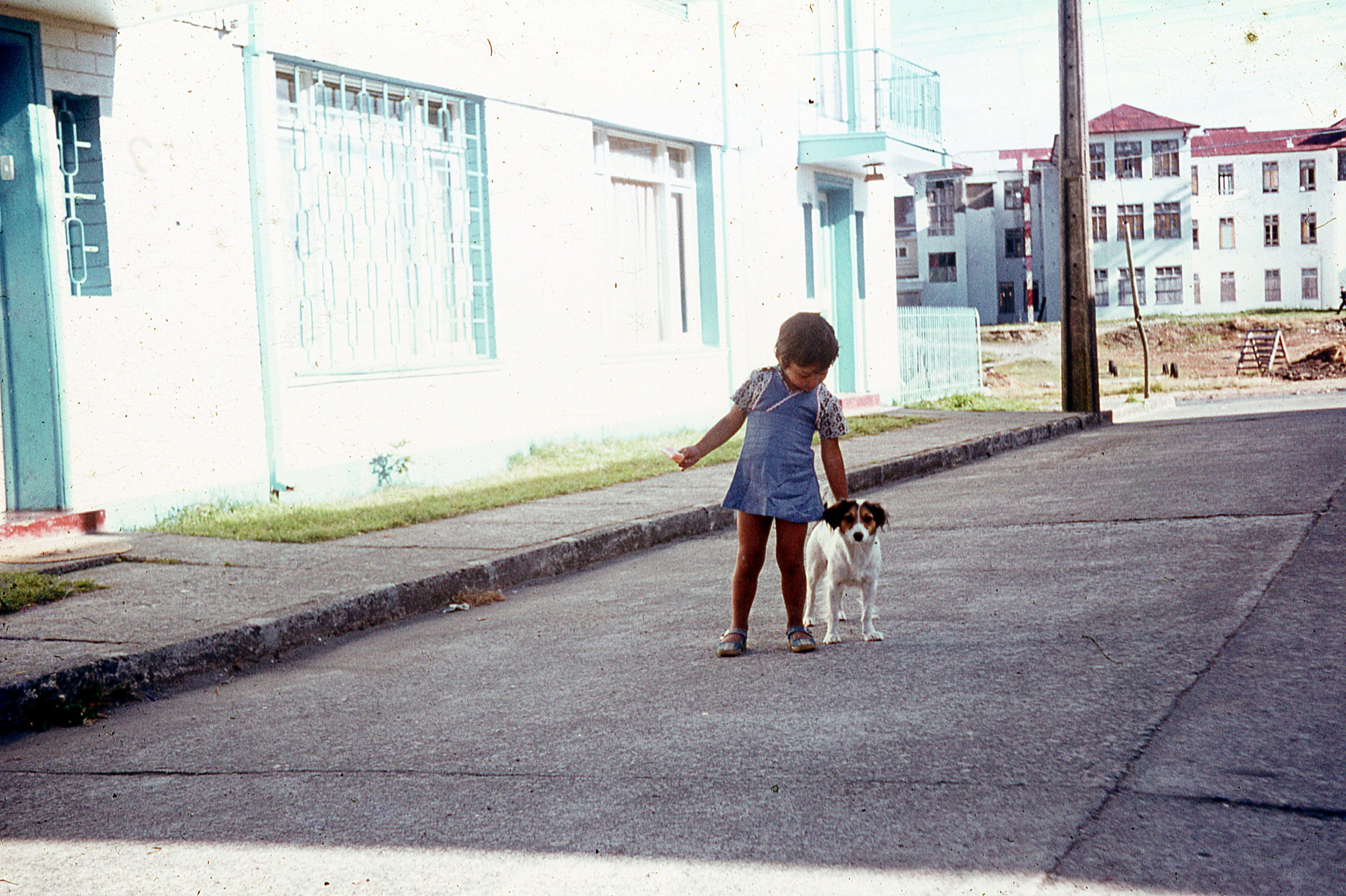Maria Paz Ramirez Bolado y perro en Puerto Montt, 1977