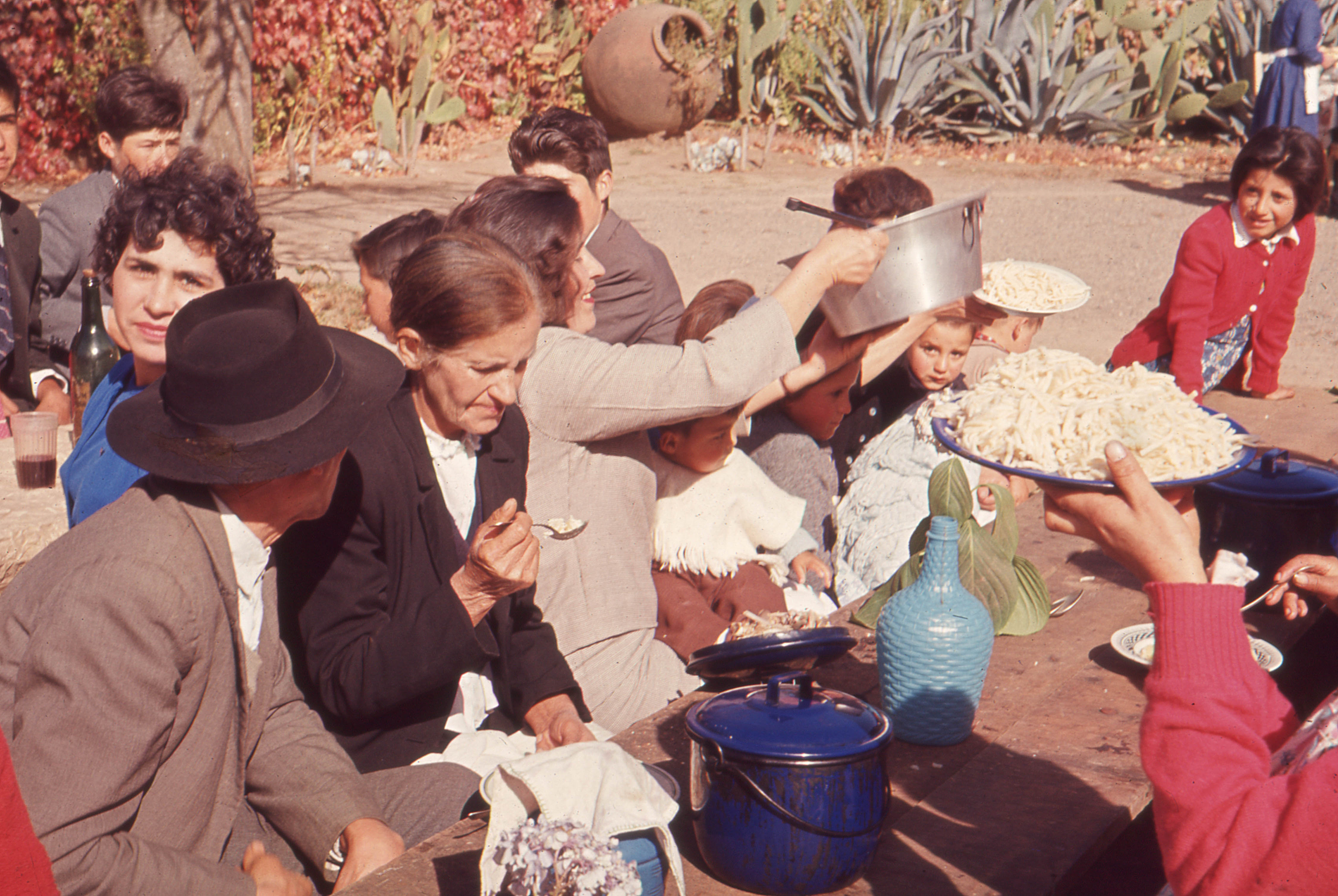 Fiesta de la vendimia en fundo, 1966