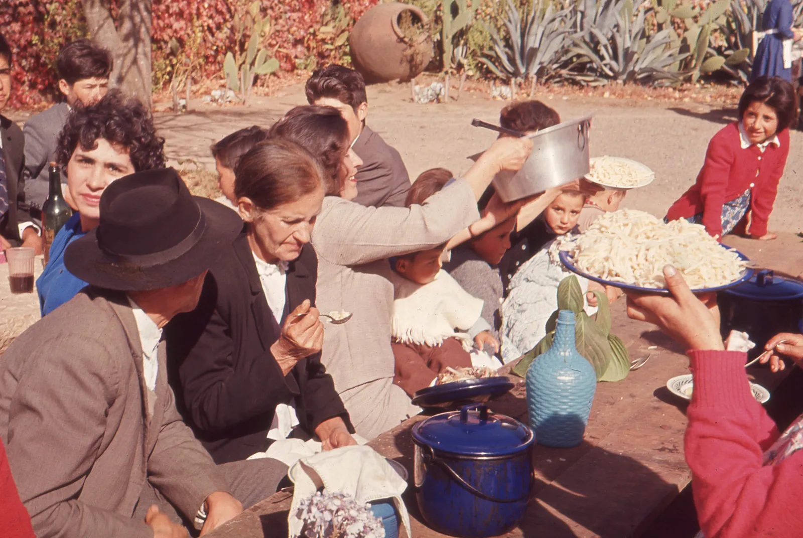 Fiesta de la vendimia en fundo, 1966