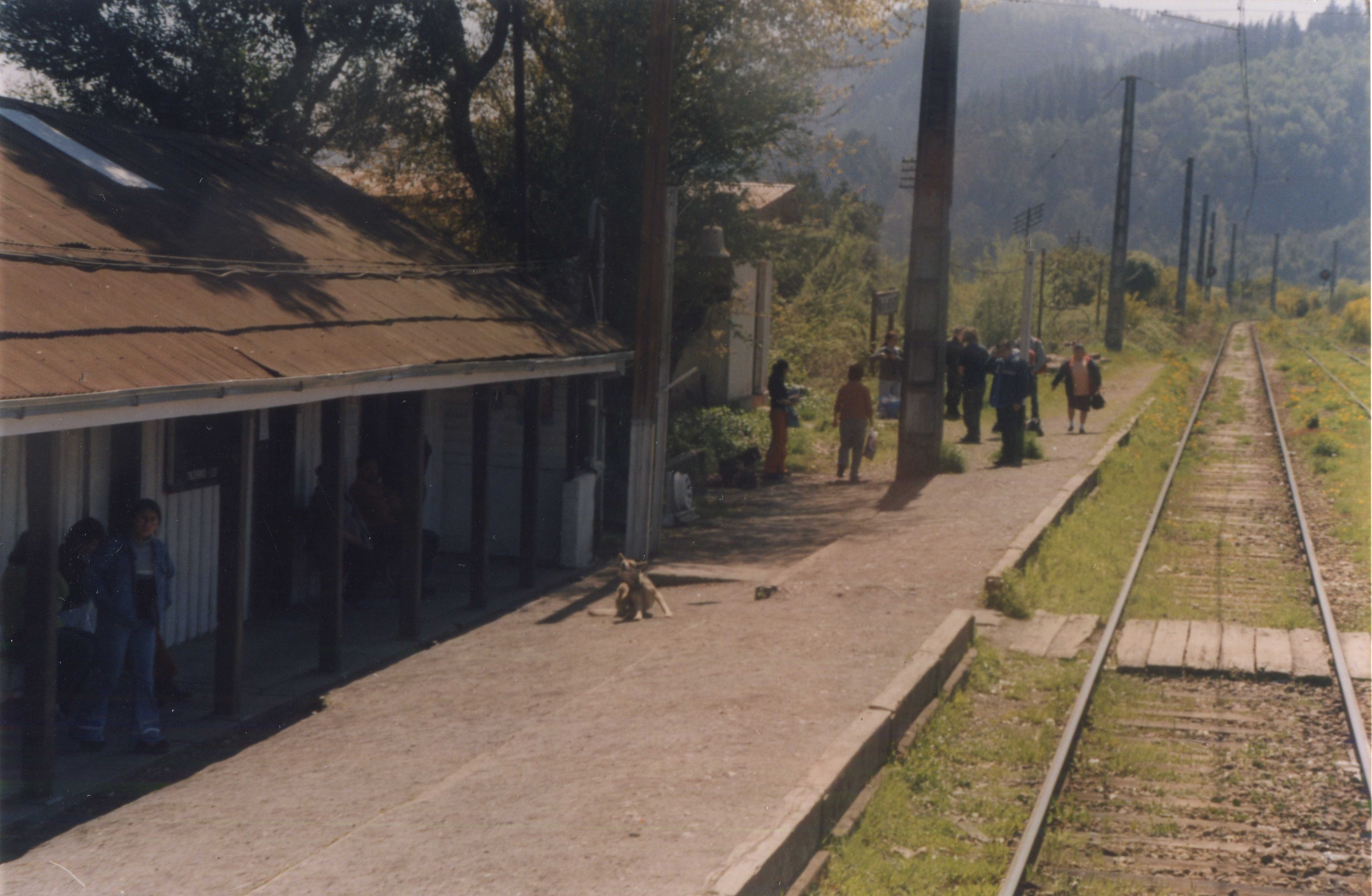 Estación Gomero, Hualqui, 1999