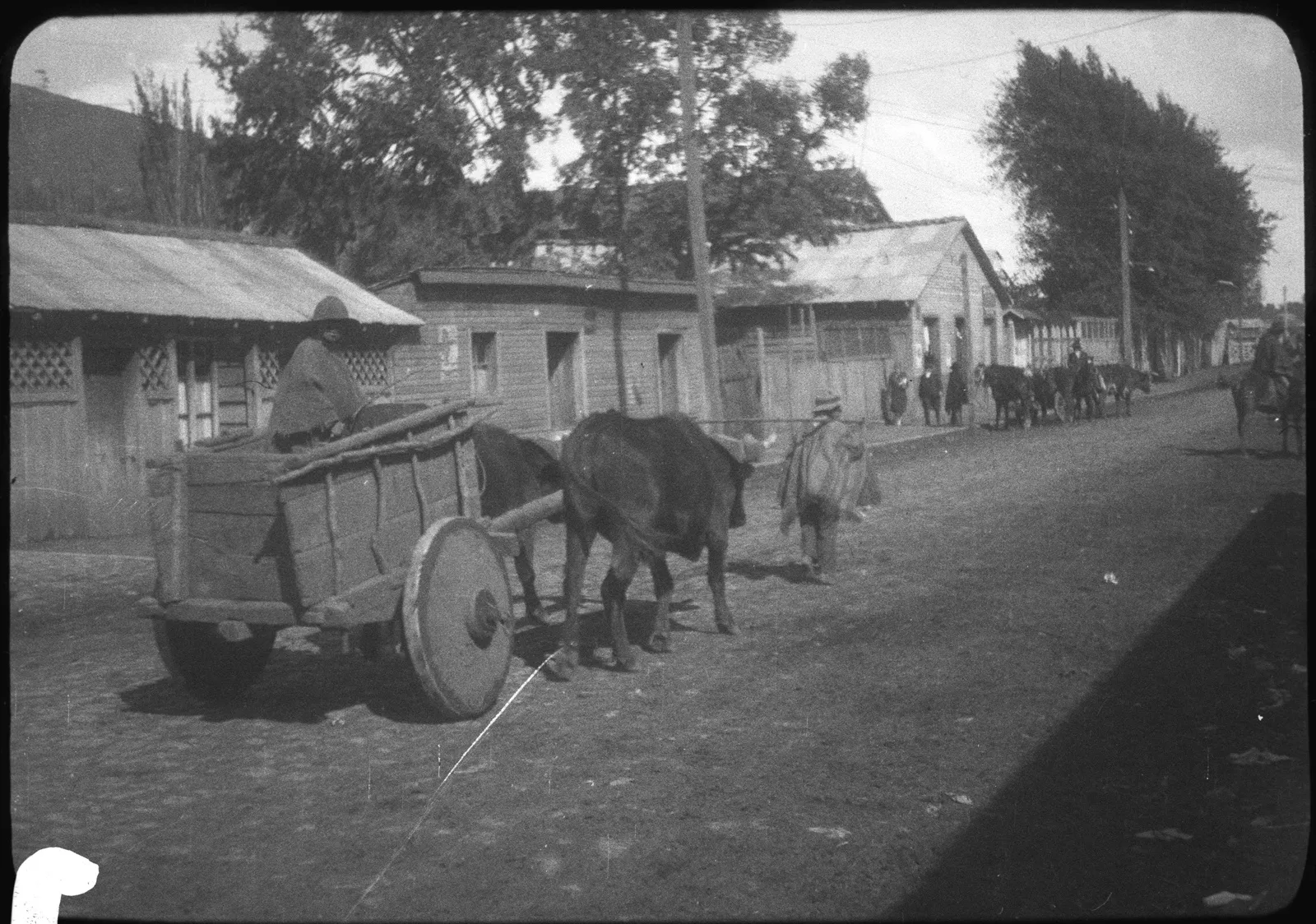 Carreta de bueyes, algún lugar de la Araucanía, 1928