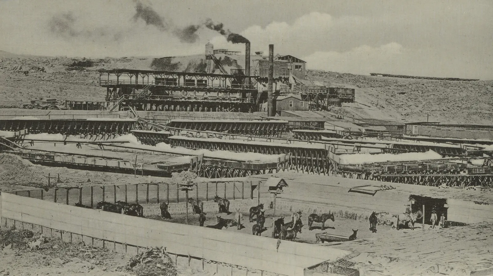 Oficina San Pablo, Tarapacá, ca. 1910