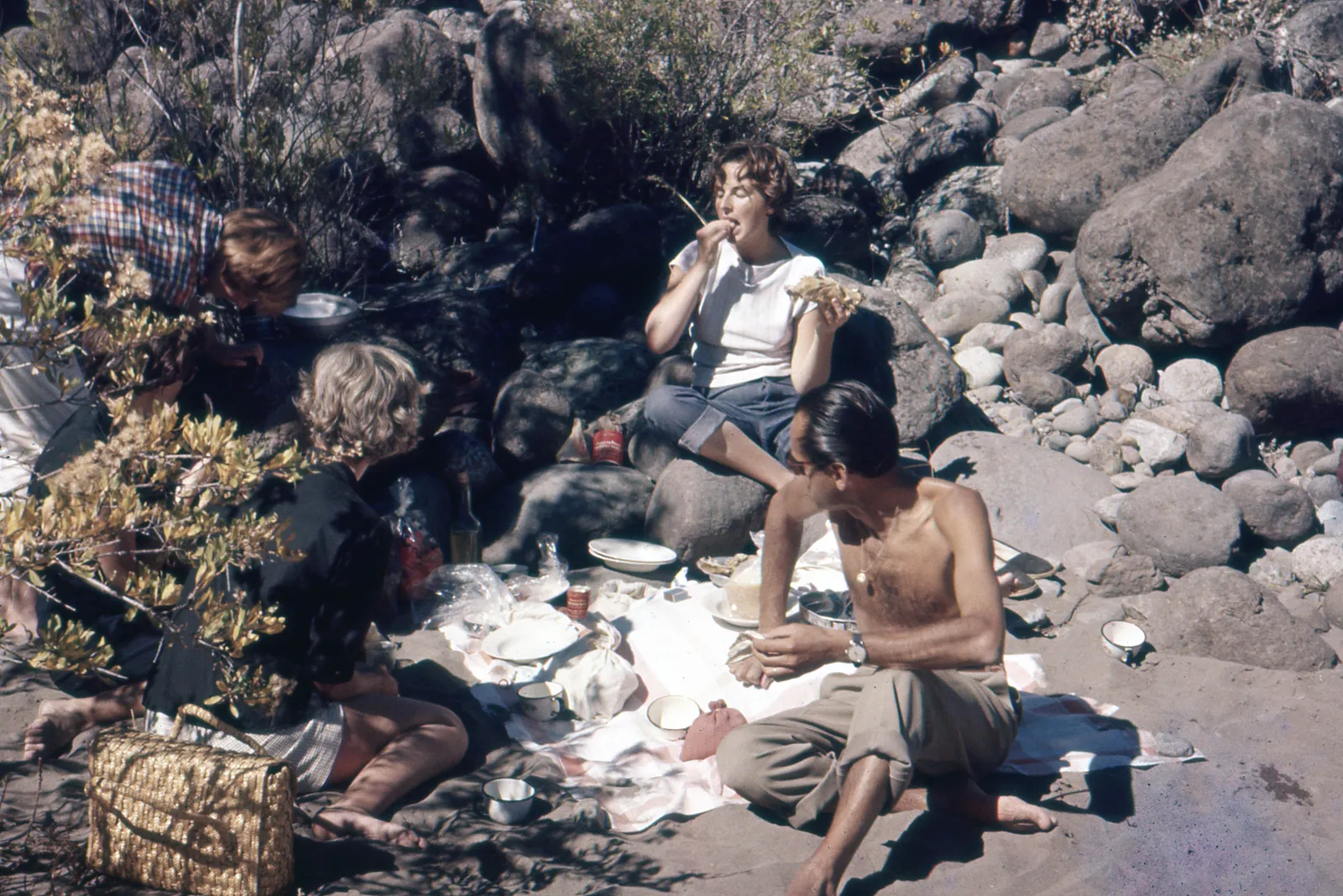Grupo de Picnic circa. 1965