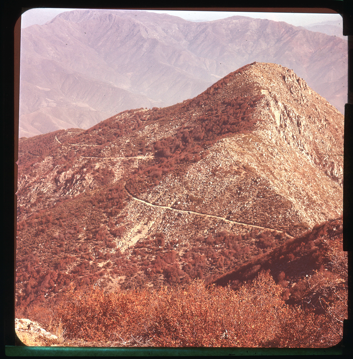 Cerro Punta Imán, Olmué, Región de Valparaíso, Chile, 1950 - 1965