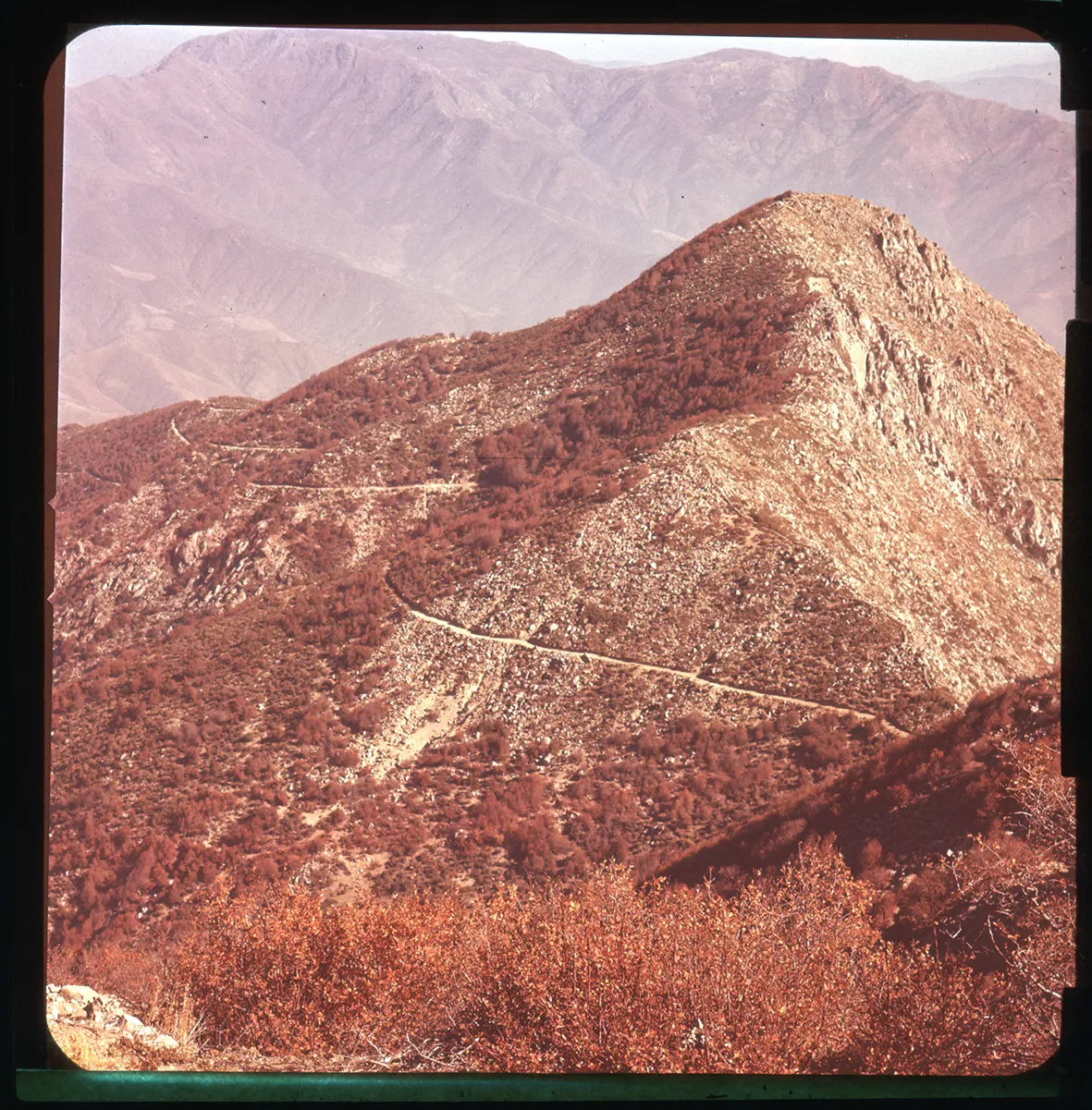 Cerro Punta Imán, Olmué, Región de Valparaíso, Chile, 1950 - 1965